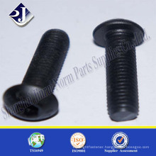 China Supplier Black Hex Head Botton Socket Screw